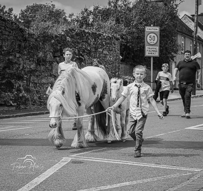 Borris Horse Fair 2023 (by Finbarr)